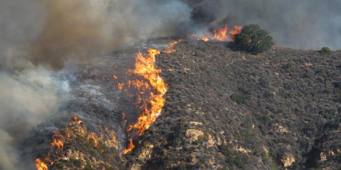 Incendi Baix Ebre